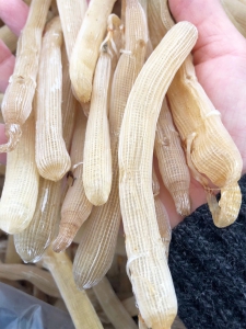 Sá Sùng Quảng Ninh