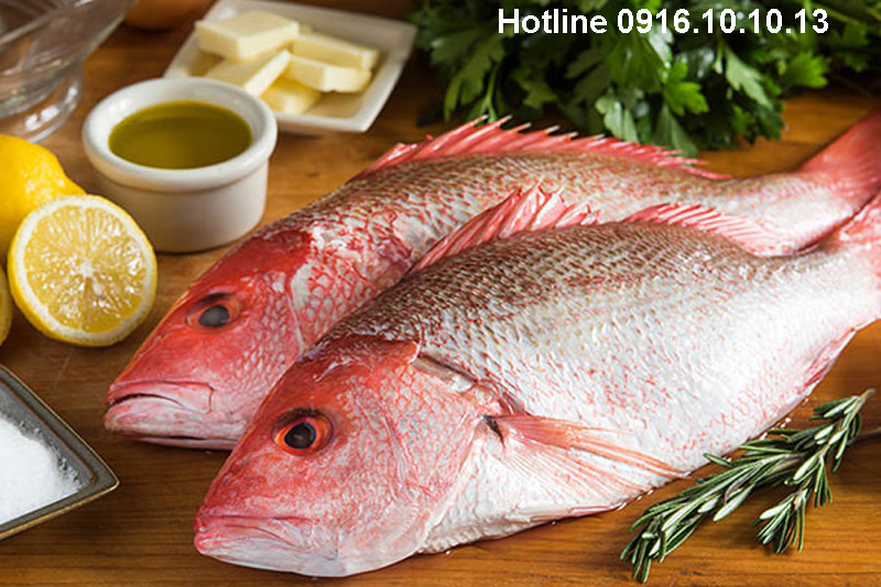 cá hồng biển tươi