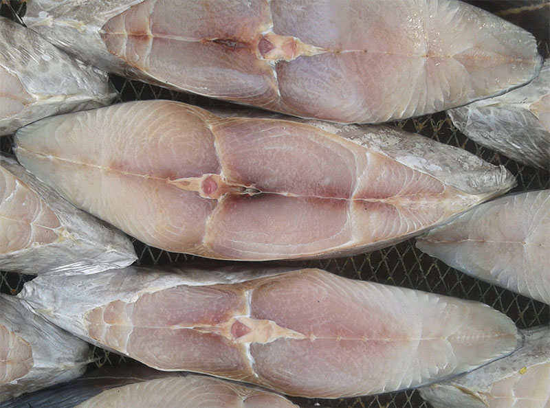 Cá Thu Một Nắng