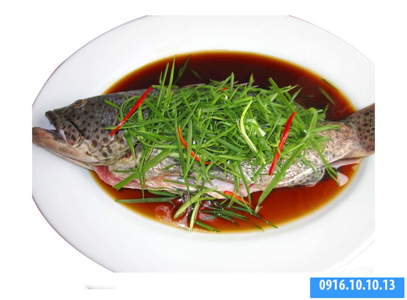 cách chế biến cá song