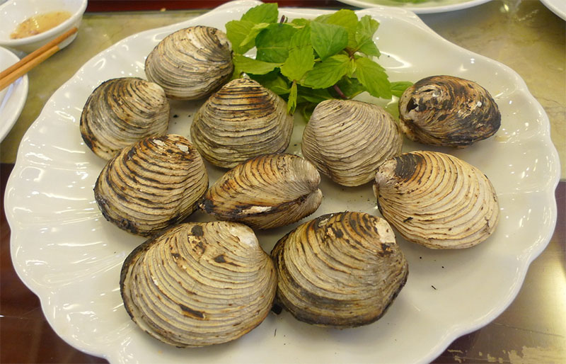 Con ngán Quảng Ninh