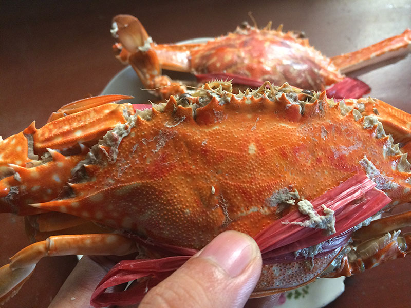 Hải sản tươi sống Vân Đồn