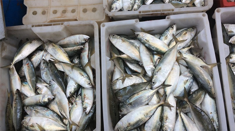 hải sản vân đồn