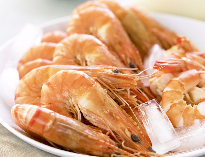 Món ngon từ tôm biển