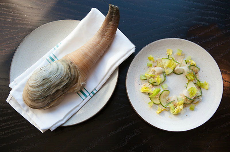 món tu hài sống chấm mù tạt