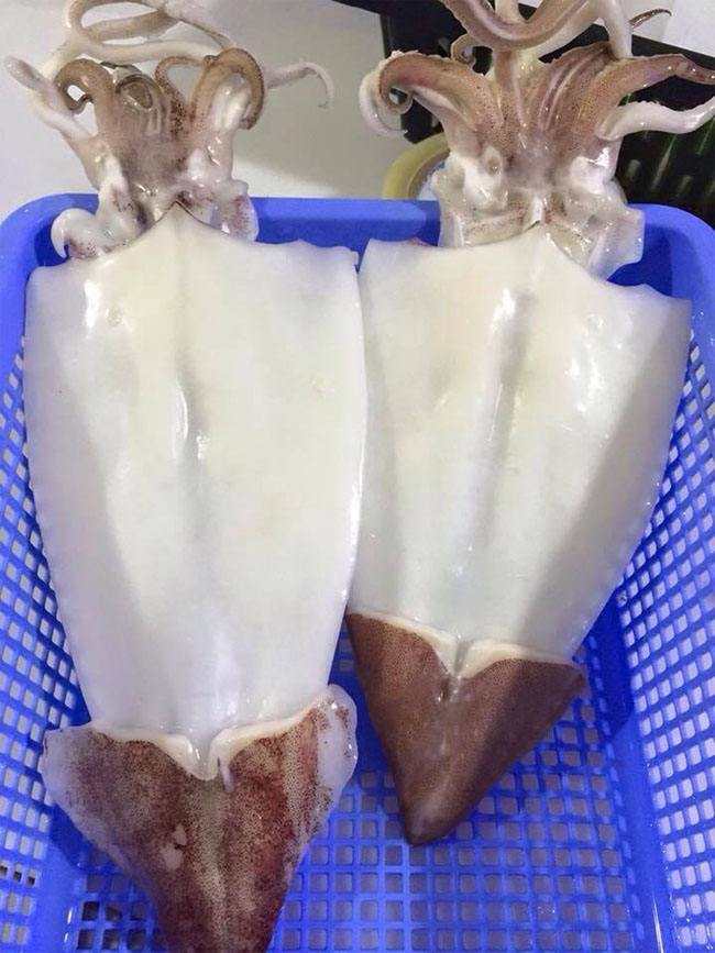 mực 1 nắng giá bao nhiêu