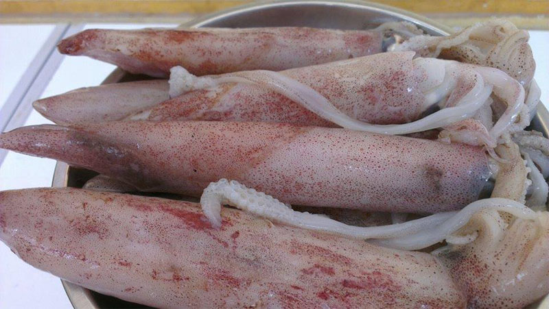 Mực ống tươi Hà Nội