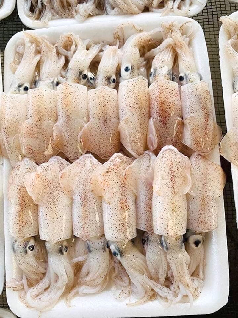 Mực sim tươi ngon