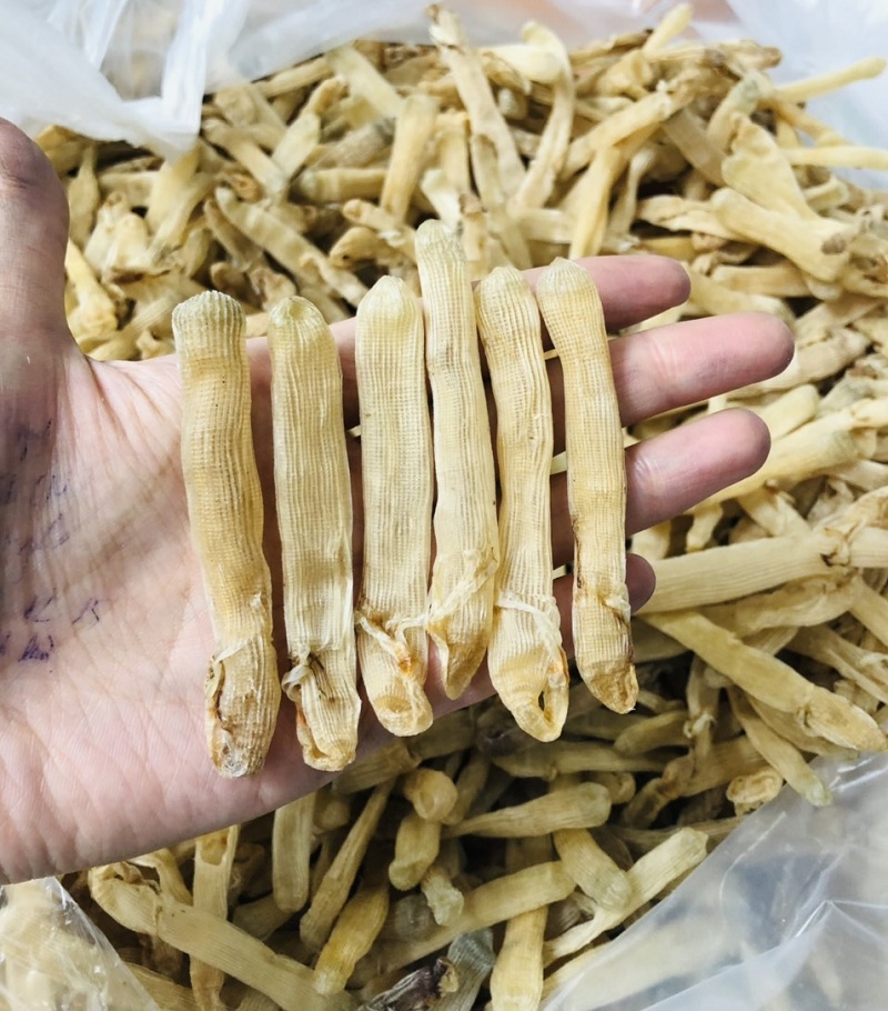 Sá sùng khô Hà Nội