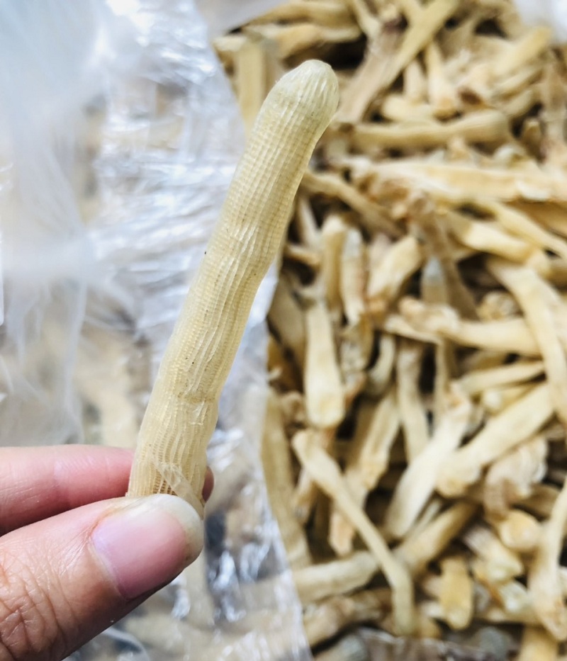 Sá sùng khô là gì