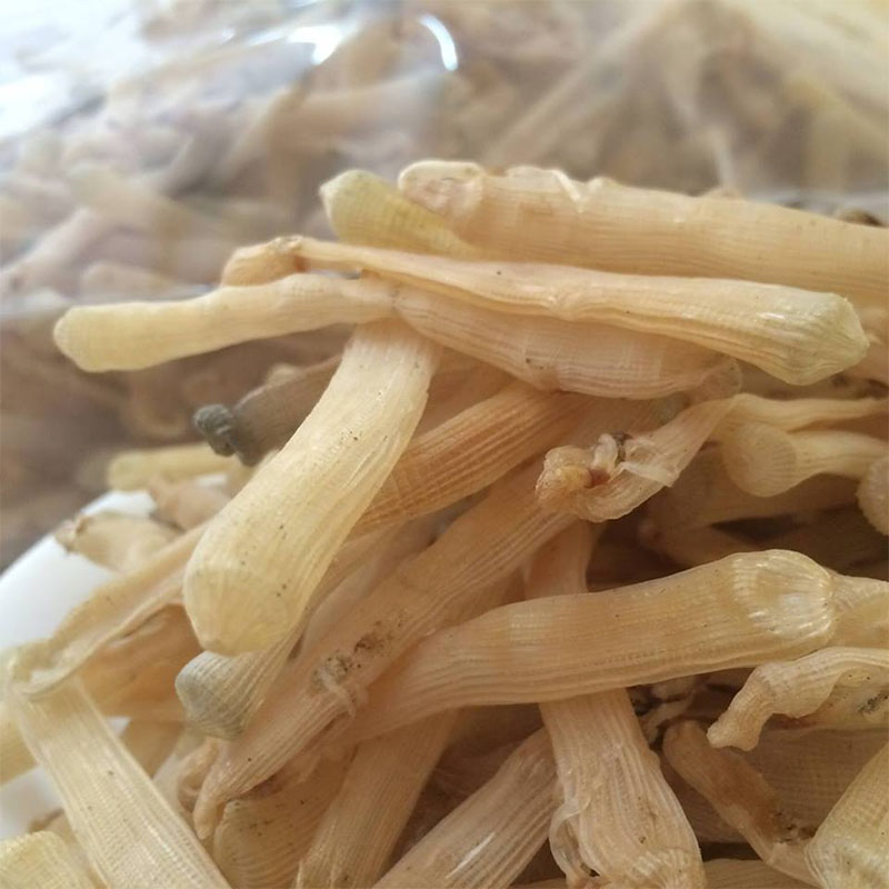 Sá Sùng Quan Lạn Quảng Ninh