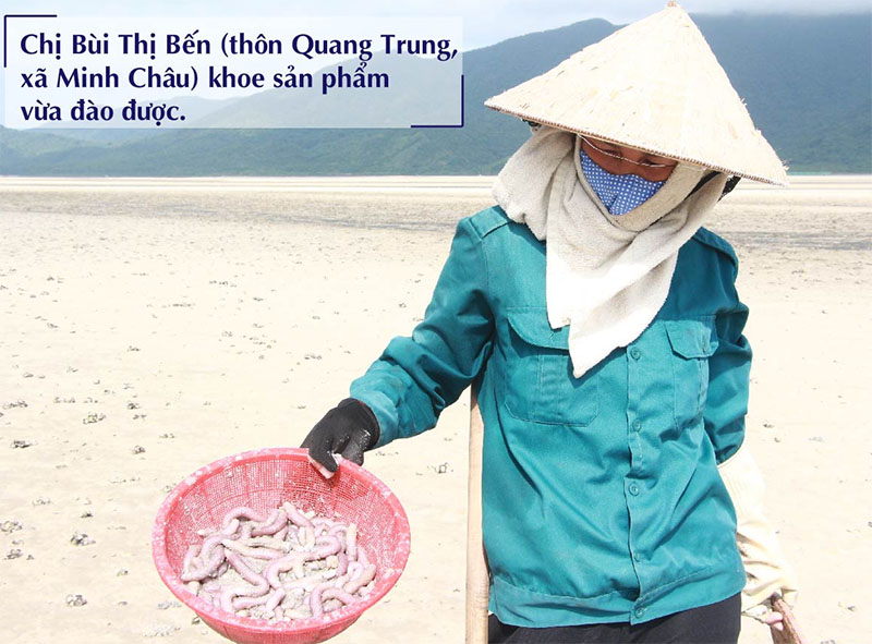 Sá sùng tươi Quan Lạn Quảng Ninh