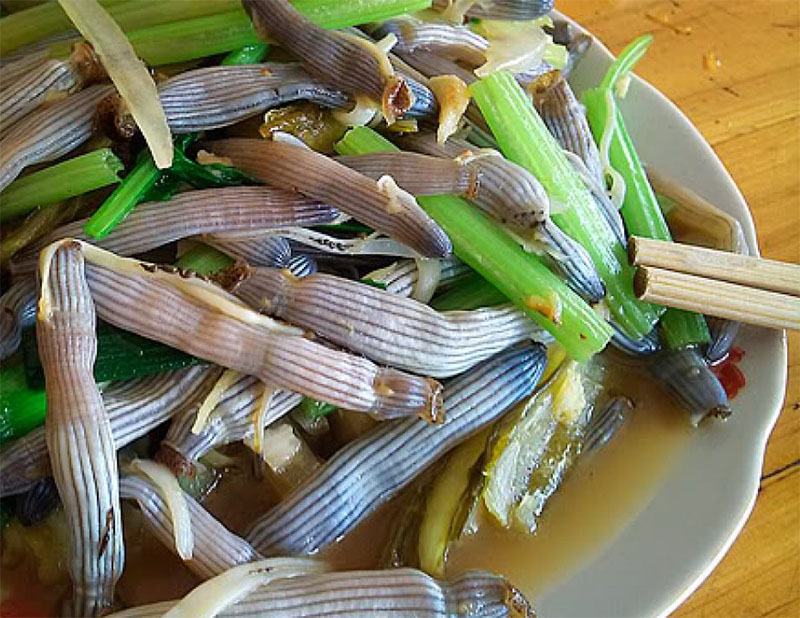 Sá sùng tươi xào