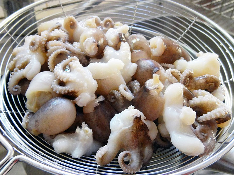 Tác dụng của bạch tuộc baby