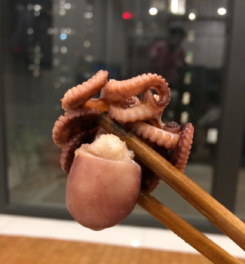 Tác dụng của bạch tuộc