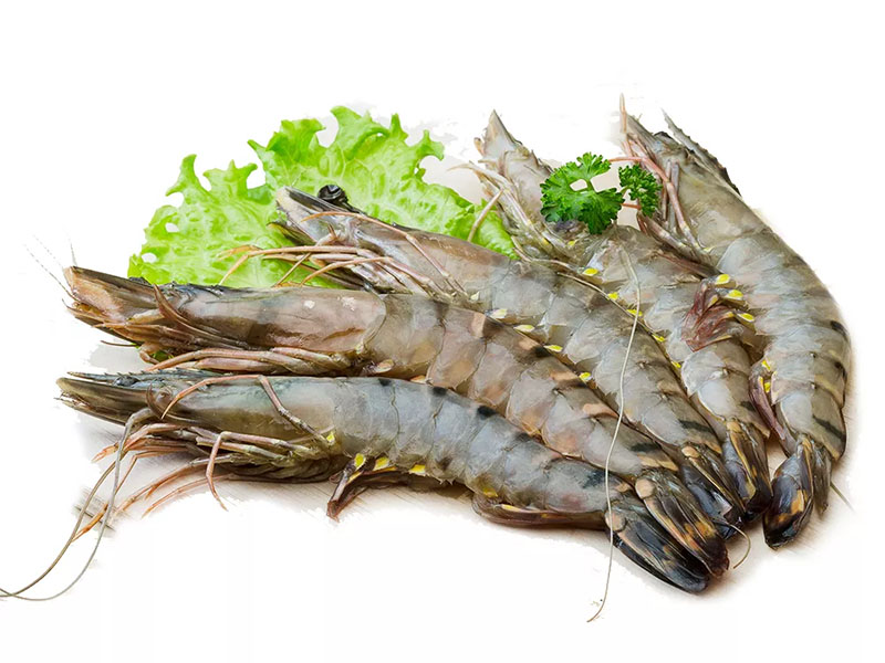 tôm he quảng ninh